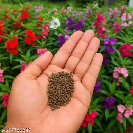 Flower Seeds & Plants