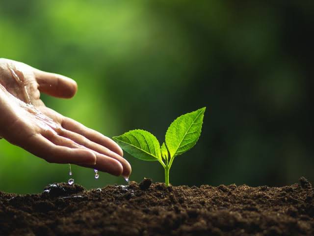 Farming & Agricultural Crop