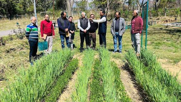 Organic & Natural Farming Training